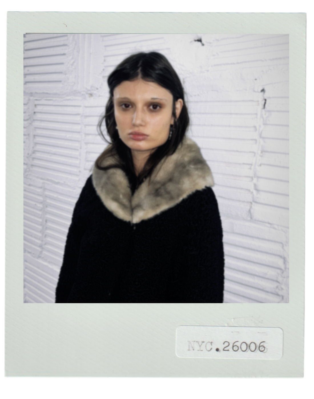 Black Persian Lamb with Mink Collar