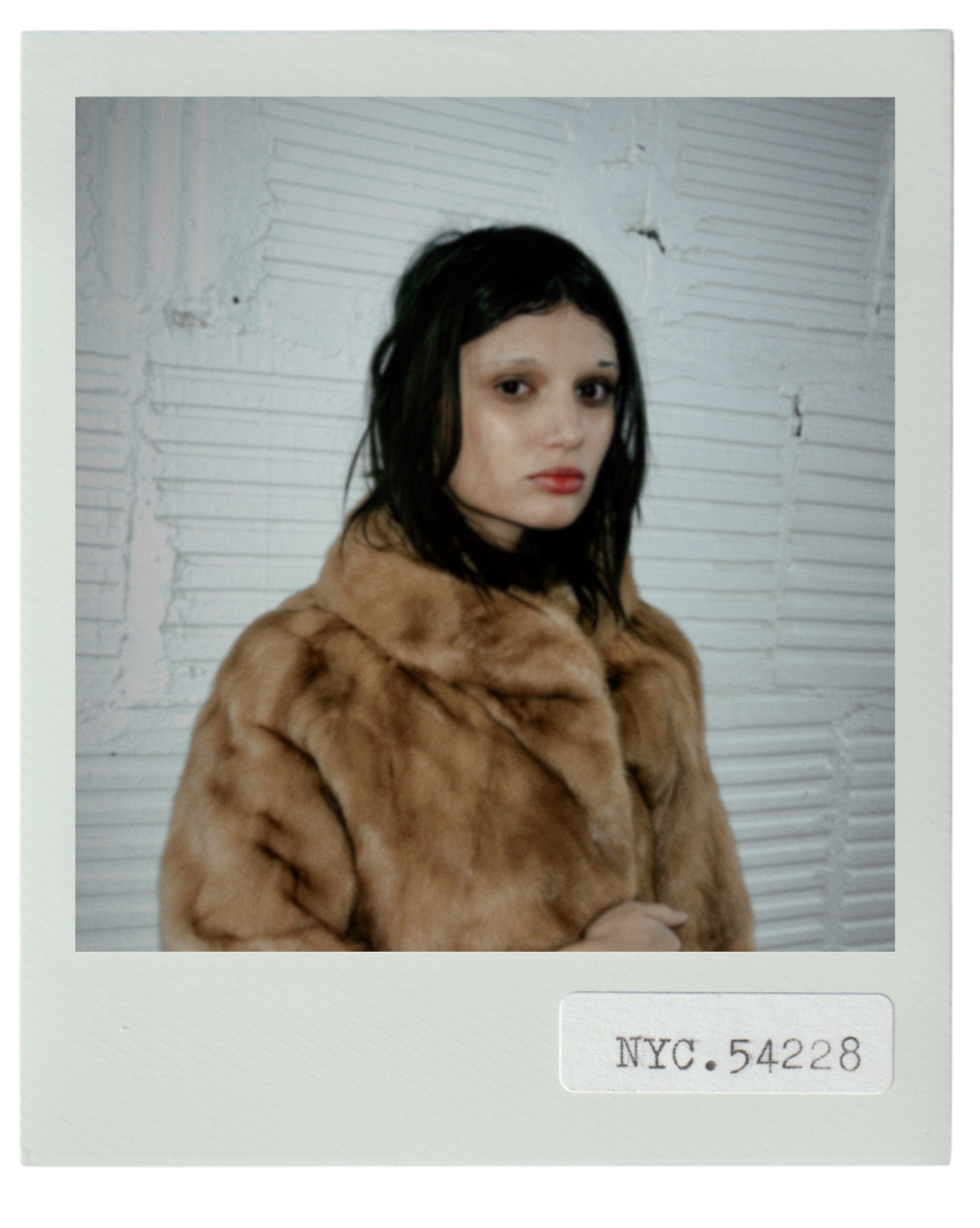 Blonde Mink With Portrait Collar