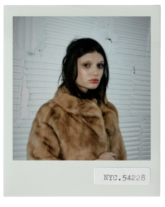 Blonde Mink With Portrait Collar