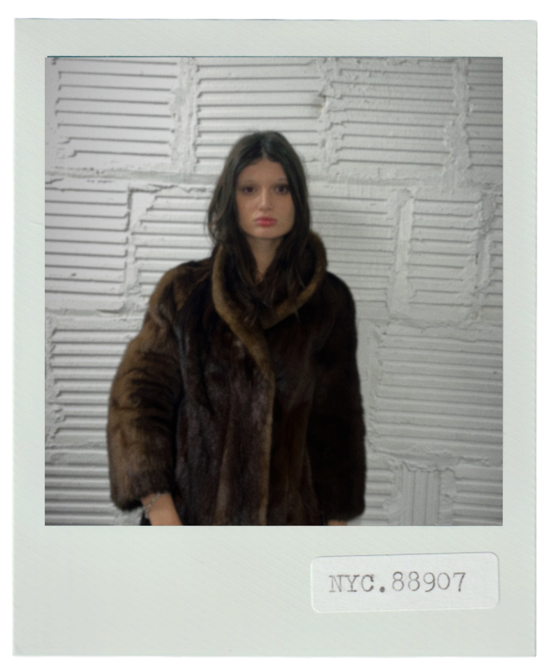 Dark Mink With Funnel Collar