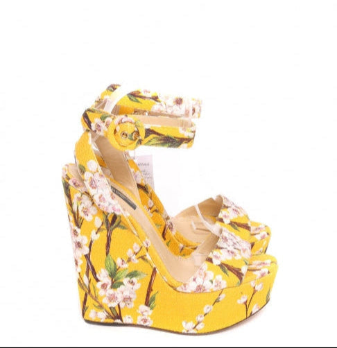 Dolce & Gabbana Platform Wedges